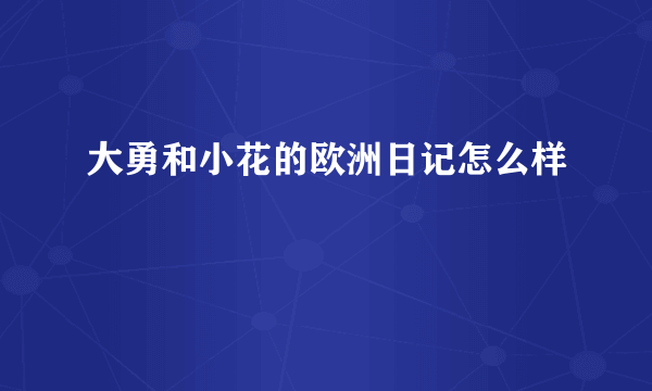 大勇和小花的欧洲日记怎么样