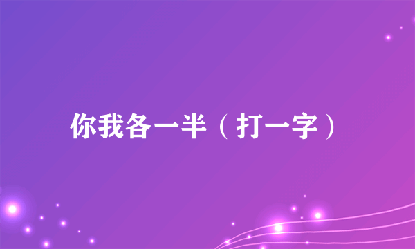 你我各一半（打一字）