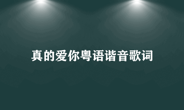 真的爱你粤语谐音歌词