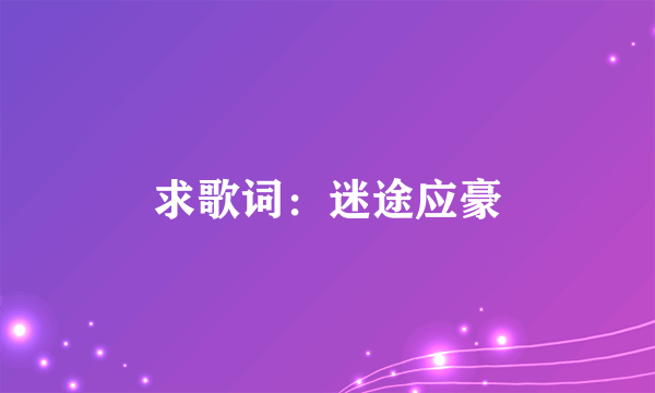 求歌词：迷途应豪