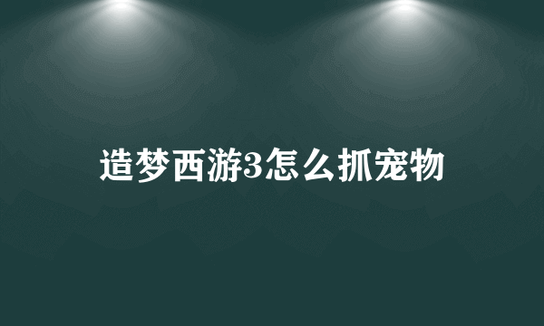 造梦西游3怎么抓宠物