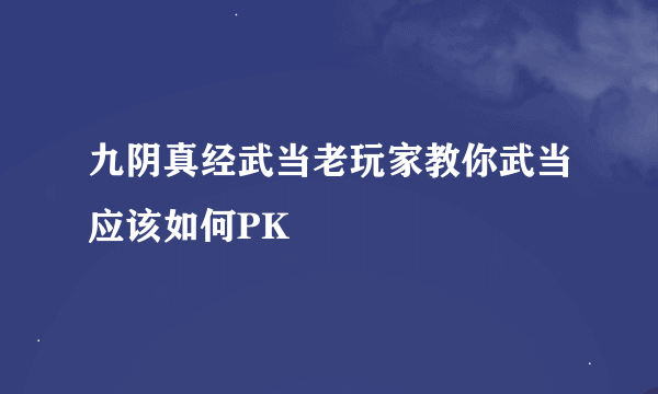 九阴真经武当老玩家教你武当应该如何PK