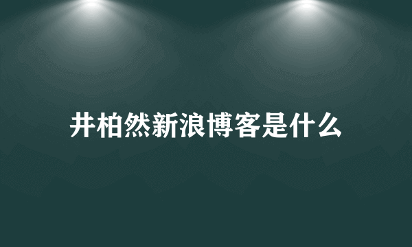 井柏然新浪博客是什么