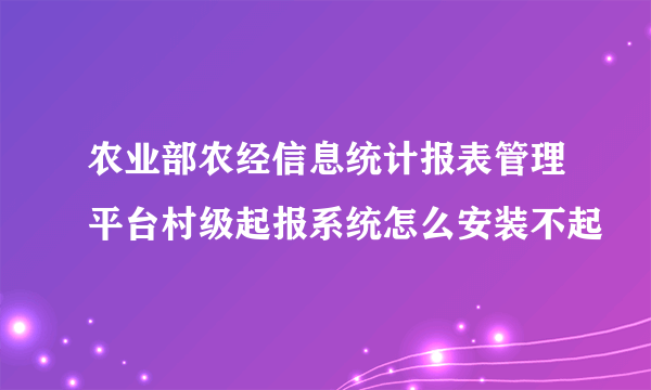 农业部农经信息统计报表管理平台村级起报系统怎么安装不起