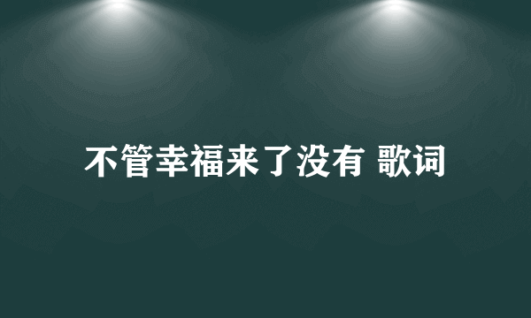 不管幸福来了没有 歌词