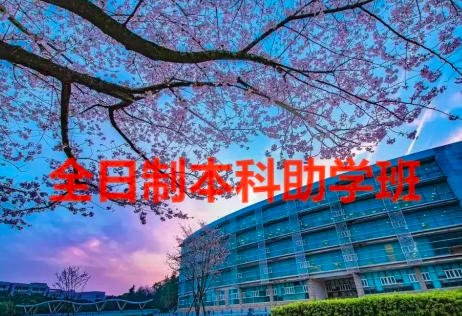 300分能上什么公办专科学校