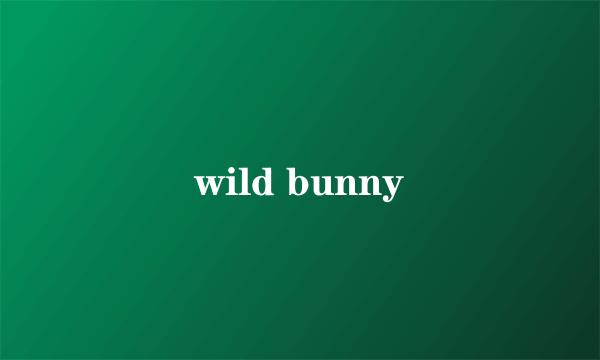 wild bunny