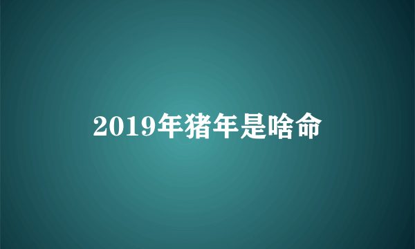 2019年猪年是啥命