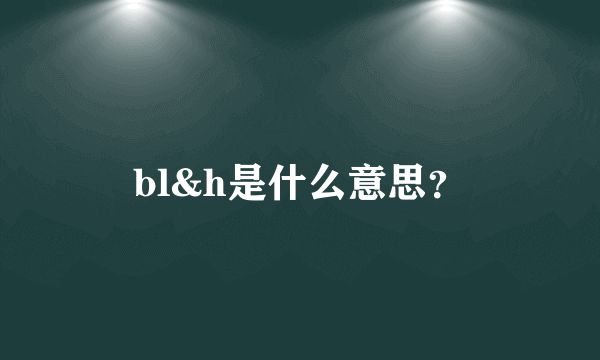 bl&h是什么意思？