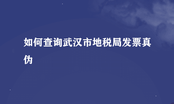 如何查询武汉市地税局发票真伪