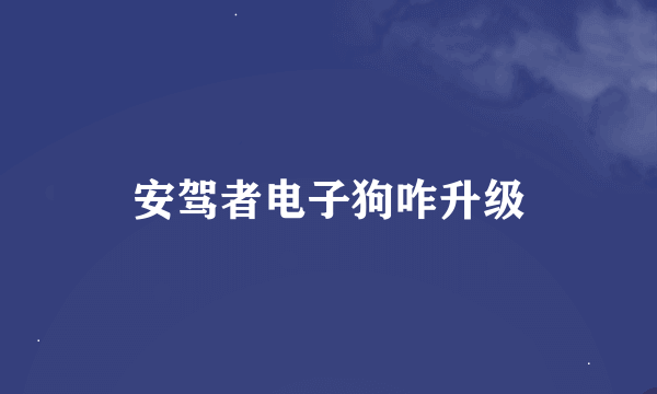 安驾者电子狗咋升级