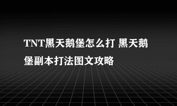 TNT黑天鹅堡怎么打 黑天鹅堡副本打法图文攻略