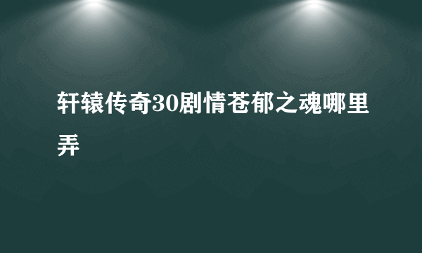 轩辕传奇30剧情苍郁之魂哪里弄