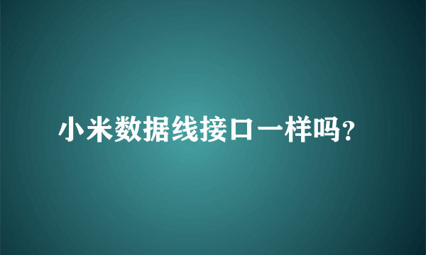 小米数据线接口一样吗？