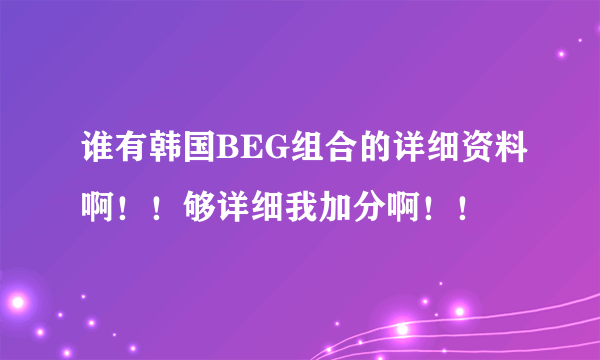 谁有韩国BEG组合的详细资料啊！！够详细我加分啊！！