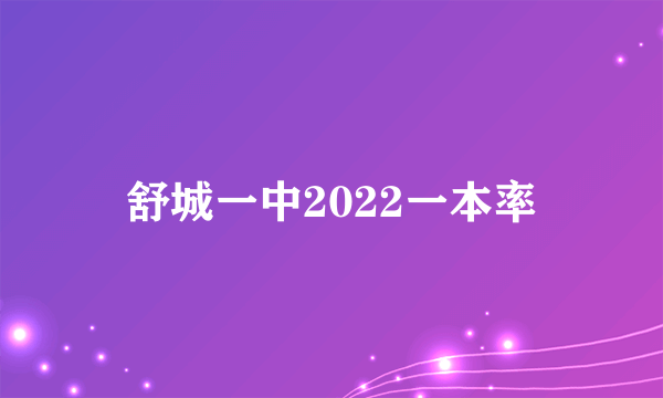 舒城一中2022一本率