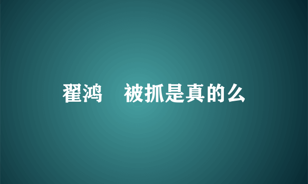 翟鸿燊被抓是真的么