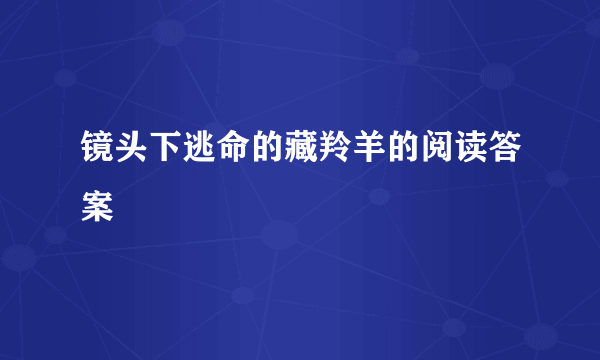 镜头下逃命的藏羚羊的阅读答案