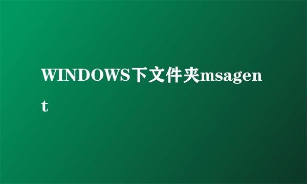 WINDOWS下文件夹msagent