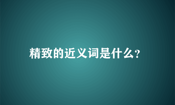 精致的近义词是什么？