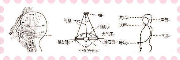 怎样才是唱歌正确的发音方式？