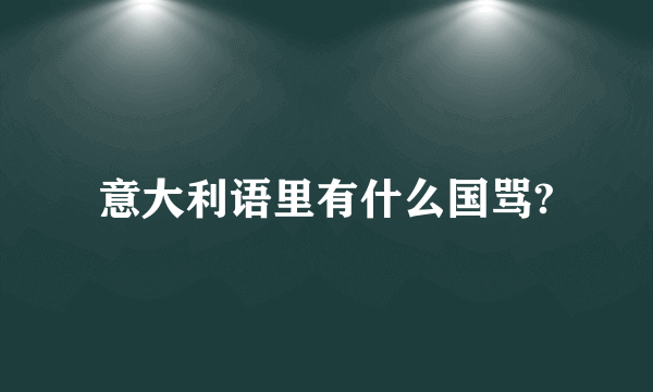 意大利语里有什么国骂?