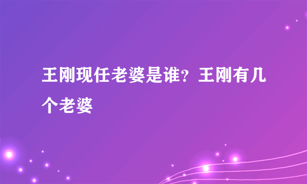 王刚现任老婆是谁？王刚有几个老婆