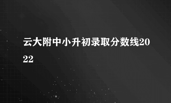 云大附中小升初录取分数线2022