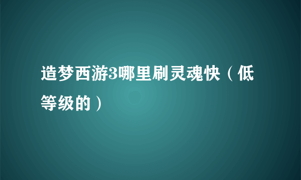 造梦西游3哪里刷灵魂快（低等级的）