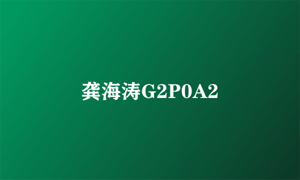 龚海涛G2P0A2