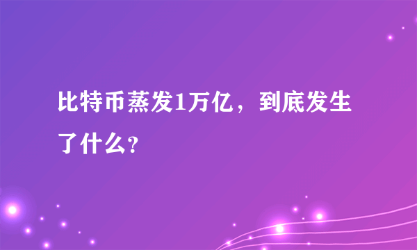 比特币蒸发1万亿，到底发生了什么？