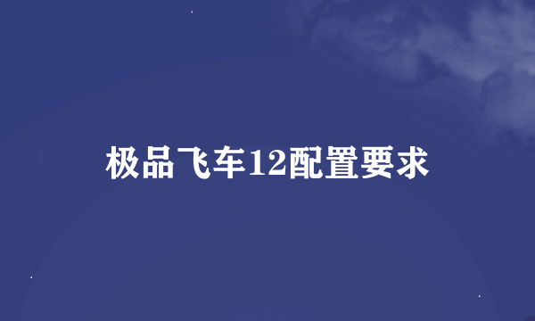 极品飞车12配置要求