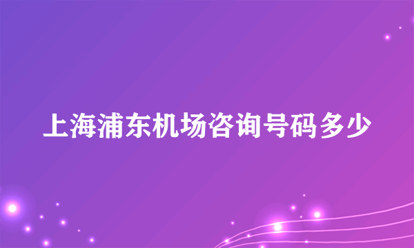 上海浦东机场咨询号码多少