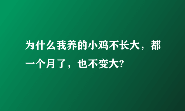 为什么我养的小鸡不长大，都一个月了，也不变大?