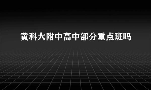 黄科大附中高中部分重点班吗