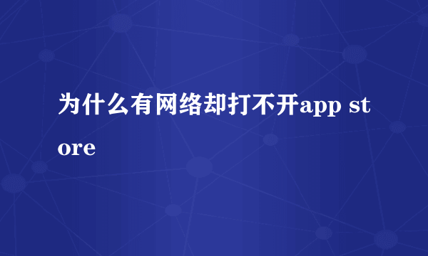 为什么有网络却打不开app store