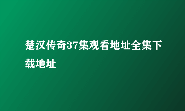 楚汉传奇37集观看地址全集下载地址