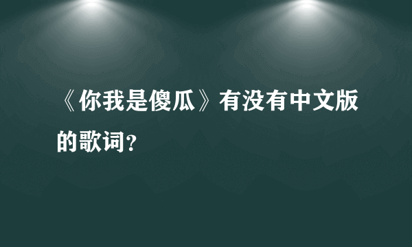 《你我是傻瓜》有没有中文版的歌词？