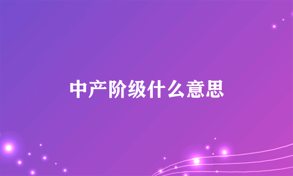 中产阶级什么意思