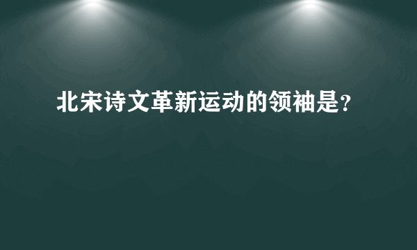 北宋诗文革新运动的领袖是？