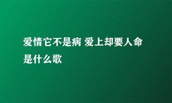 爱情它不是病 爱上却要人命是什么歌