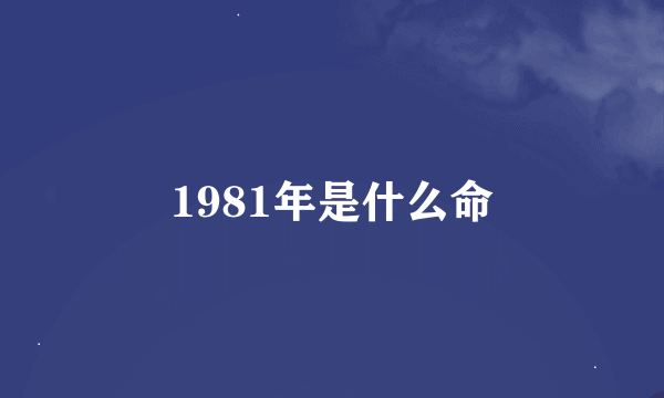 1981年是什么命