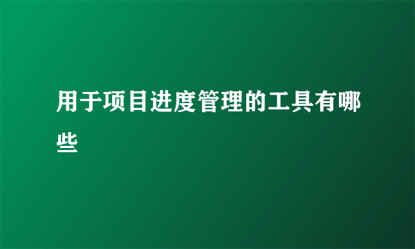 用于项目进度管理的工具有哪些