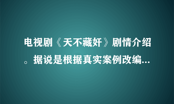 电视剧《天不藏奸》剧情介绍。据说是根据真实案例改编的，顺便介绍一下故事原型。详细点 给分多哦