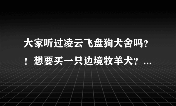 大家听过凌云飞盘狗犬舍吗？！想要买一只边境牧羊犬？！这个犬舍靠谱吗？！