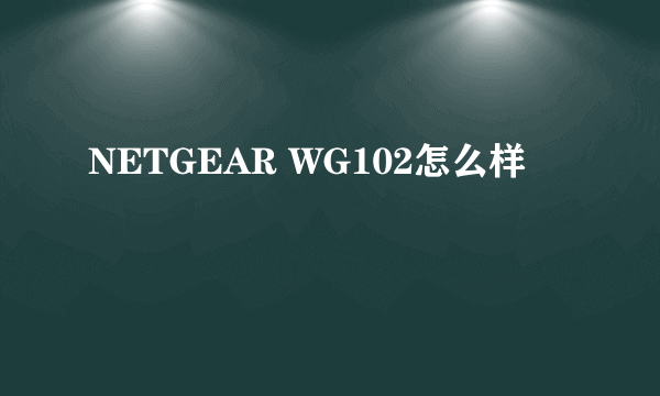 NETGEAR WG102怎么样