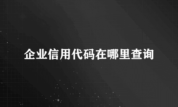 企业信用代码在哪里查询