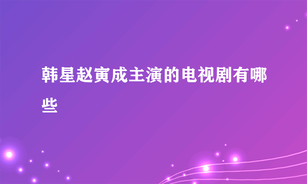 韩星赵寅成主演的电视剧有哪些