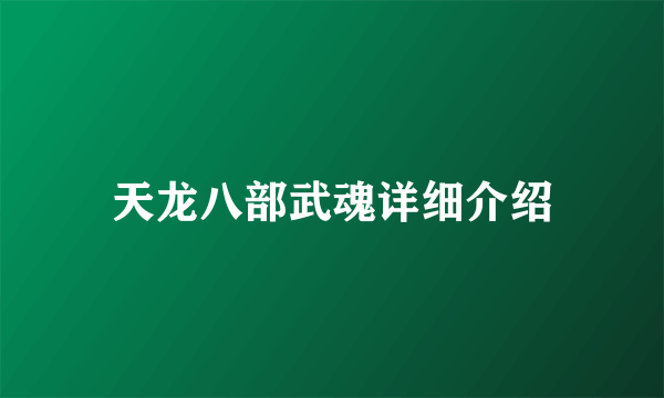 天龙八部武魂详细介绍