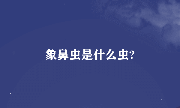 象鼻虫是什么虫?